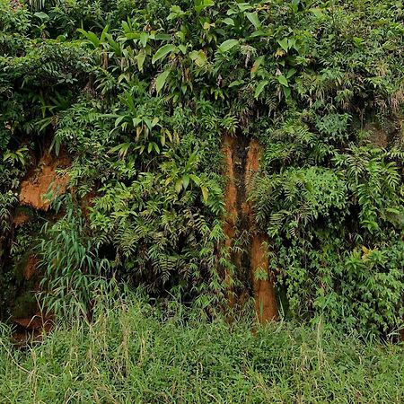 Le Petit Paradis Ροζό Εξωτερικό φωτογραφία