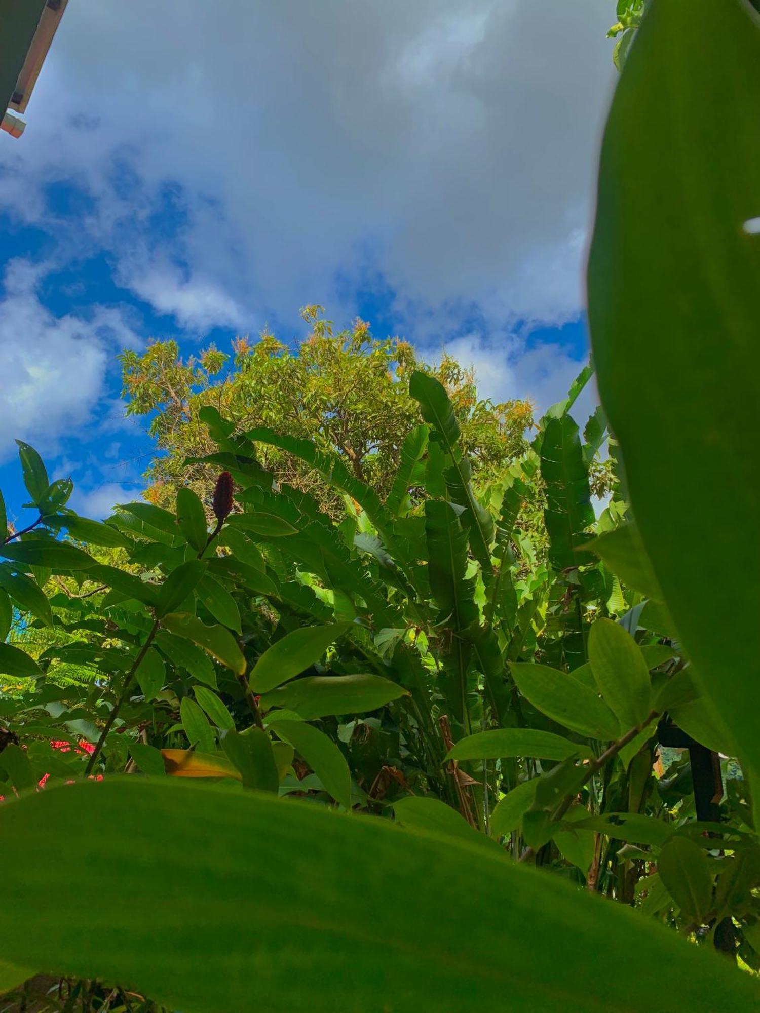 Le Petit Paradis Ροζό Εξωτερικό φωτογραφία